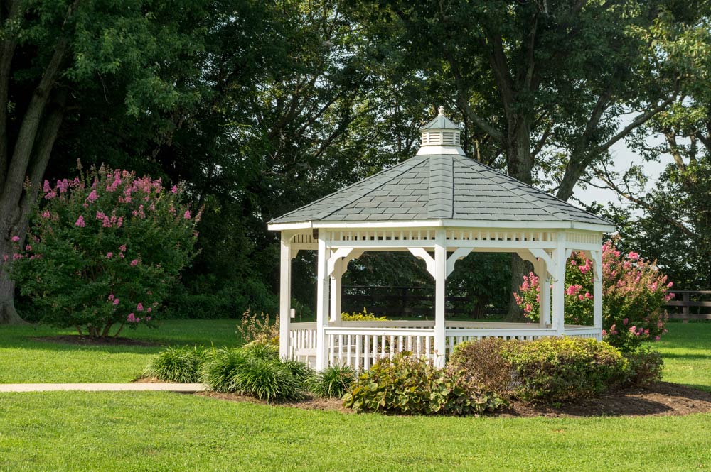 Garden Pergola